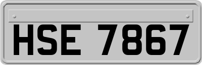 HSE7867