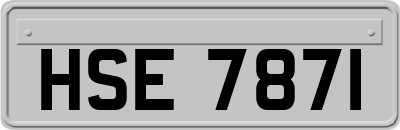 HSE7871