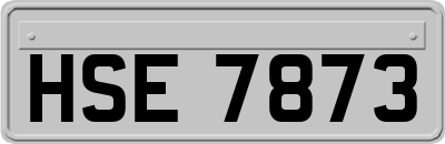 HSE7873