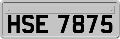 HSE7875