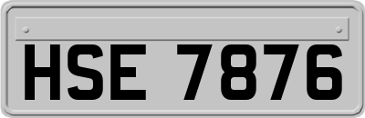 HSE7876