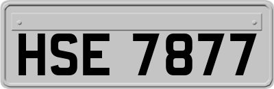 HSE7877