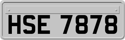 HSE7878