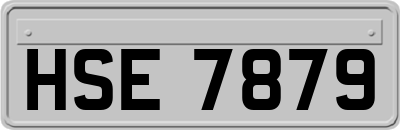 HSE7879