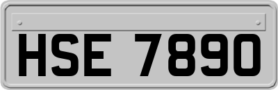 HSE7890