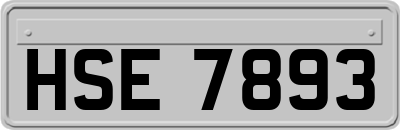 HSE7893
