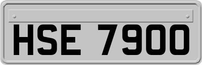 HSE7900
