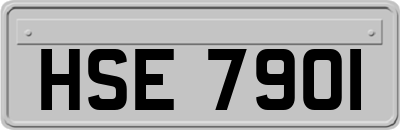 HSE7901
