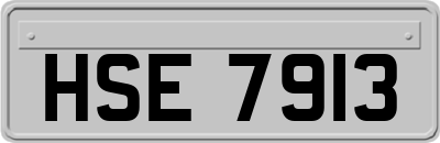HSE7913