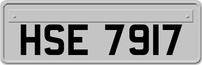 HSE7917