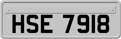 HSE7918