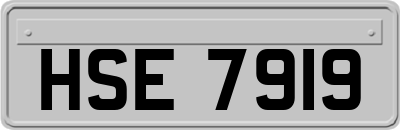 HSE7919