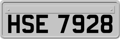 HSE7928