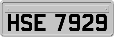 HSE7929