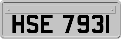 HSE7931