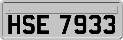 HSE7933