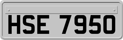 HSE7950