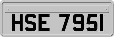 HSE7951