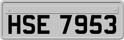 HSE7953