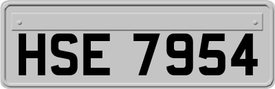 HSE7954