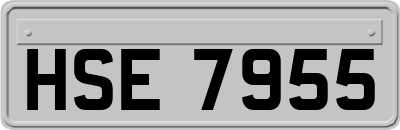 HSE7955