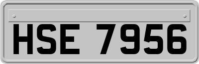 HSE7956