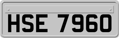 HSE7960