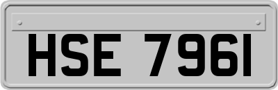 HSE7961