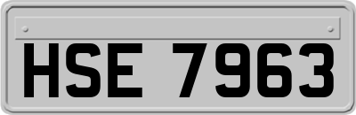 HSE7963