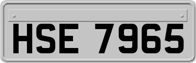 HSE7965