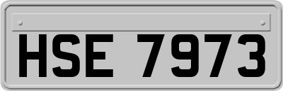 HSE7973