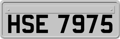 HSE7975