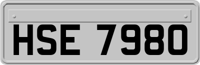 HSE7980