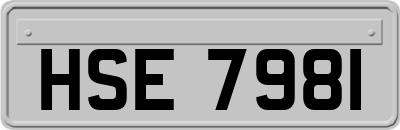 HSE7981