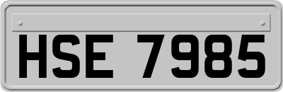 HSE7985