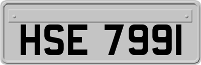 HSE7991