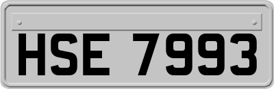 HSE7993