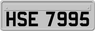 HSE7995