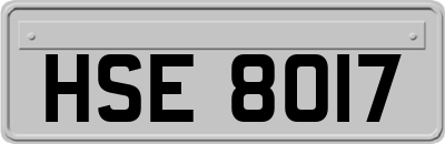 HSE8017
