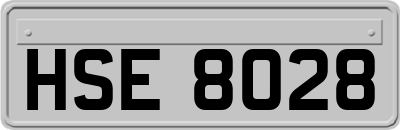 HSE8028