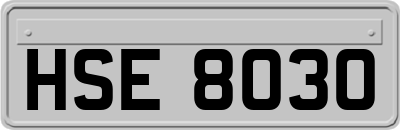 HSE8030