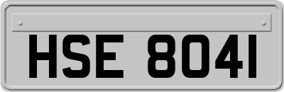 HSE8041