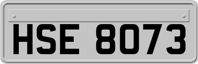 HSE8073