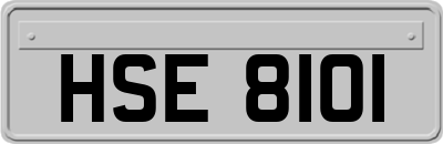 HSE8101