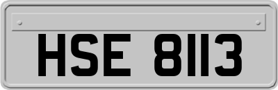 HSE8113