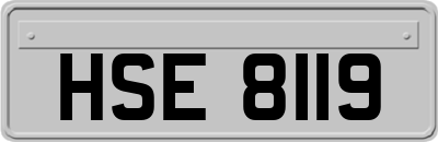 HSE8119