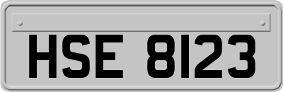HSE8123
