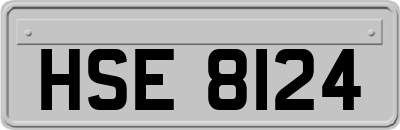 HSE8124