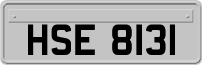 HSE8131
