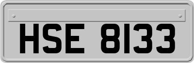 HSE8133